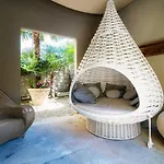 The Lemon Tree House - Center *